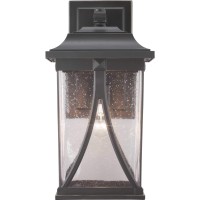 Progress Lighting Abbott Collection 1-Light Clear Seeded Glass Craftsman Outdoor Large Wall Lantern Light Antique Bronze, 20.25X10.38X10.38