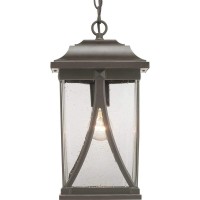 Progress Lighting Abbott Collection 1-Light Clear Seeded Glass Craftsman Outdoor Hanging Lantern Light Antique Bronze