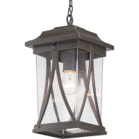 Progress Lighting Abbott Collection 1-Light Clear Seeded Glass Craftsman Outdoor Hanging Lantern Light Antique Bronze