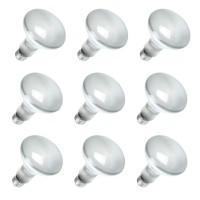 Sylvania 15172 Bulb, 9 Count (Pack Of 1), White