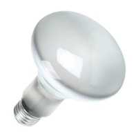 Sylvania 15172 Bulb, 9 Count (Pack Of 1), White