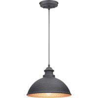 Progress Lighting Englewood Collection 1-Light Farmhouse Outdoor Hanging Lantern Light Textured Black