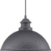 Progress Lighting Englewood Collection 1-Light Farmhouse Outdoor Hanging Lantern Light Textured Black