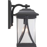 Progress Lighting Abbott Collection 1-Light Clear Seeded Glass Craftsman Outdoor Medium Wall Lantern Light Antique Bronze