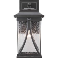 Progress Lighting Abbott Collection 1-Light Clear Seeded Glass Craftsman Outdoor Medium Wall Lantern Light Antique Bronze