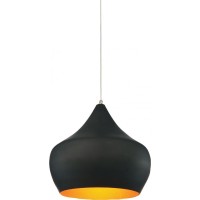 1 Light Down Pendant With Black Finish