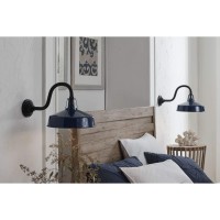 Cedar Springs Collection 1-Light Farmhouse Outdoor Extra-Large Wall Lantern Light Navy