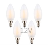 Opalray Low Voltage Dc 12V-24V Led Bulb, Dimmable With 12V Dc Dimmer, 2W 200Lm, Warm White, E12 Candelabra Base, 25W Incandescent Equivalent, For 12Volts Power, Frosted Glass Torpedo Tip, 5 Pack