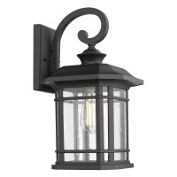 Emliviar Outdoor Wall Lights For House, 1-Light Exterior Wall Sconce Black Finish With Clear Seeded Glass, 17