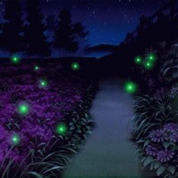 Myhh-Lites Solar Powered Firefly Lights, Zhongxin Flickering Fireflies String Lights With 7 Amusing Fireflies Bulbs, Brings Back Memories Of Your Childhood