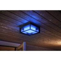 Philips Hue Econic Square Outdoor Smart Wall Light, Black - White And Color Ambiance Led Color-Changing Light - 1 Pack - Requires Hue Bridge - Control With Hue App And Voice - Weatherproof