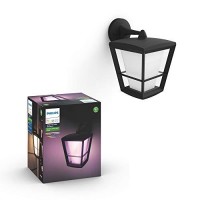 Philips Hue Econic Smart Outdoor White & Color Wall Lantern, Down (Hue Hub Required, Smart Light Works With Alexa, Apple Homekit & Google Assistant)