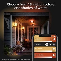 Philips Hue Econic Smart Outdoor White & Color Wall Lantern, Down (Hue Hub Required, Smart Light Works With Alexa, Apple Homekit & Google Assistant)