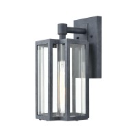 Bianca 1-Light Sconce In Aged Zinc With Clear