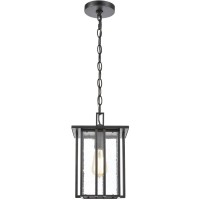 Elk Home 46693/1 Radnor 8'' Wide 1-Light Outdoor Pendant In Matte Black