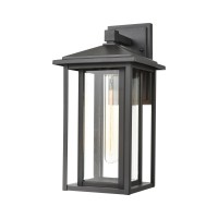 Solitude 1-Light Sconce In Matte Black With Clear Glass