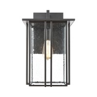 Radnor 1-Light Sconce In Matte Black With Seedy Glass