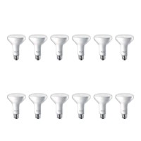 Philips Led 541037 Light Bulbs, 12 Count (Pack Of 1), Soft White