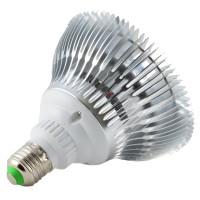 Abi Led Light Bulb For Red Light Therapy, 660Nm Deep Red, 24W Class