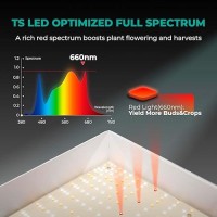 Mars Hydro 2024 New Tsw2000 Led Grow Light 300 Watt Dimmable Daisy Chain Full Spectrum Growing Lamps For Indoor Plants Seeding V