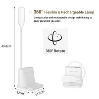 Led Desk Lamp, Novolido Rechargeable Lamp With Usb Charging Port/Pen Holder/Phone Holder, Small Study Cute For Kids/Home/Office/Dorm, Flexible Portable Bedside Table Reading (White)