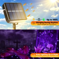 Joomer Purple Halloween Solar String Lights 2Pack Total 100Ft 300Led 8 Modes Solar Fairy Lights Waterproof Lights Black Wire Fo