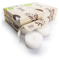 White Chocolate Mint Premium Tealight Candles Bulk Pack - Highly Scented With Essential Oils - 24 White Tea Lights - Beautiful Candlelight - Made In The Usa - Bakery & Food Collection