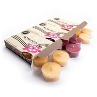 Apple Premium Tealight Candles Variety 3 Pack (18 Highly Scented Tea Lights) - Apple Harvest, Caramel Apple, Apple Afternoon - Made With Natural Fragrance Oils - Bakery & Fruit Collection