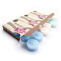 Fresh & Clean Premium Tealight Candles Variety 3 Pack (18 Highly Scented Tea Lights) - Blue Moon, Iced Mint Lavender, Eucalyptus Spearmint - Made With Natural Fragrance Oils - Fresh & Clean Collection