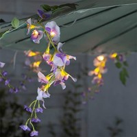 Flower String Lights Solar Powered, 33.6Ft Patio String Lights With 60 Warm White Led, 6 Clusters Wisteria Floral And 6 Grapevines Outdoor Lights Perfect For Home Garden Wedding Party Umbrella D�Cor