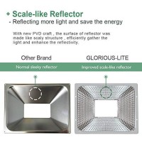 Glorious-Lite Led Flood Lights Outdoor, 100W 8000Lm Outside Work Light With Plug Ip66 Waterproof, 6500K Portable Exteriores Security Floodlights For Yard, Garden, Stadium, Playground (2 Pack)