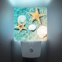 Caifujiqi Seashells And Starfish Plug-In Night Light Dusk To Dawn Smart Sensor,White Led Nightlight For Bedroom,Bathroom,Kitchen,Hallway,Stairs,Hallway,Energy Efficient,Decor Desk Lamp?