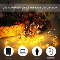 Ariceleo Usb Led Fairy String Light, 1 Pack Copper Wire Fairy Lights For Indoor, Bedroom Festival Christmas Wedding Party Patio Decorative Window With Usb Interface (33Ft10M,Warm White)