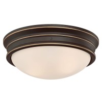 Westinghouse Lighting 6370600 Meadowbrook 13-Inch, Two-Light Indoor Flush Mount Light Fixture, Oil Rubbed Bronze Finish And Frosted Glass