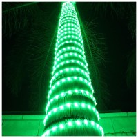 Russell Decor Led Rope Lights Festival Holiday Party Seasonal Christmas Decoration 30Ft - 200Ft Customized Available (Green, 50)