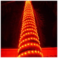 Russell Decor Led Rope Lights Festival Holiday Party Seasonal Christmas Decoration 30Ft - 200Ft Customized Available (Red, 50)