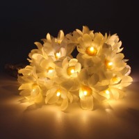 Cvhomedeco. White Daisy String Lights Artificial Silk Flowers Battery Powered W/Timer Fairy Starry Lights For Home Wedding Birthday Party D