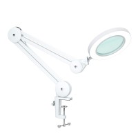 Beyamz Magnifying Glass With Light, With 2.25X 4.2'' Magnifier / 3 Color Modes / 10-Level Dimmable Leds / Hands Free With Metal Swing Arm (White)