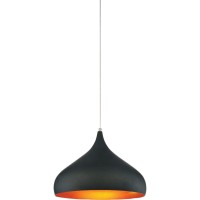 1 Light Down Pendant With Black Finish