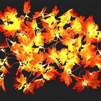 Maoyue Fall Decorations Thanksgiving Lights, 2 Pack Lighted Fall Garland 19.6 Ft 60 Led, Autumn Maple Leaves Battery Operated With Timer, Indoor Outdoor Christmas Lights Fall Decor For Home