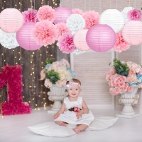 Celehappy Pink Paper Lanterns Decoration Tissue Paper Pom Poms Paper Flower 18Pcs Party Decorations For Baby Shower Wedding Vale