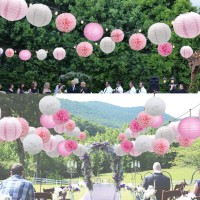 Celehappy Pink Paper Lanterns Decoration Tissue Paper Pom Poms Paper Flower 18Pcs Party Decorations For Baby Shower Wedding Vale