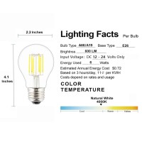 Opalray Low Voltage 12V Input Edison Style Classical A60(A19) Bulb, Dimmable With 12V Dc Dimmer, 6W 600Lm, 4000K Natural White, E26 Medium Base, 60W Incandescent Equivalent, 12V-24V Dc Power, 2 Pack