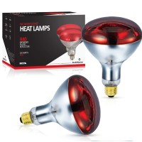 Bulbmaster 250 Watts R40 Red Heat Lamps Outdoor Bulbs For Pets Flood Light Bulb For Chickens Infrared Reflector 250W R40 Incandescent Medium E26 Base 2 Pack