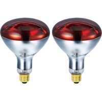 Bulbmaster 250 Watts R40 Red Heat Lamps Outdoor Bulbs For Pets Flood Light Bulb For Chickens Infrared Reflector 250W R40 Incandescent Medium E26 Base 2 Pack