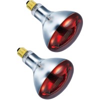 Bulbmaster 250 Watts R40 Red Heat Lamps Outdoor Bulbs For Pets Flood Light Bulb For Chickens Infrared Reflector 250W R40 Incandescent Medium E26 Base 2 Pack