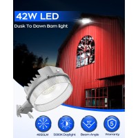 Cinoton Led Barn Light Dusk To Dawn Outdoor Lighting 42W 4950Lm 5000K Daylight Security Flood Light Ul Listed Ip65 Waterpro