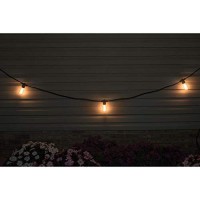 Mr Beams 40W St58 Bulb Nostalgic Vintage Edison Incandescent Weatherproof Outdoor String Lights, 48 Feet, Black