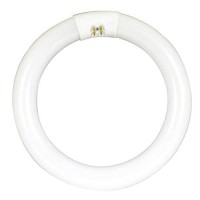 Feit Electric 8-Inch 15 Watt Led Circular Tube T9 Replacement, Cool White, 4100K, G10Q Base, Plug & Play, Requires Compatible Existing Ballast, Fc8/840/Led 22W Eq Non-Dm Led Tube