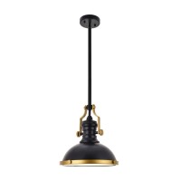 Eamon 1 Light Matte Black Pendant